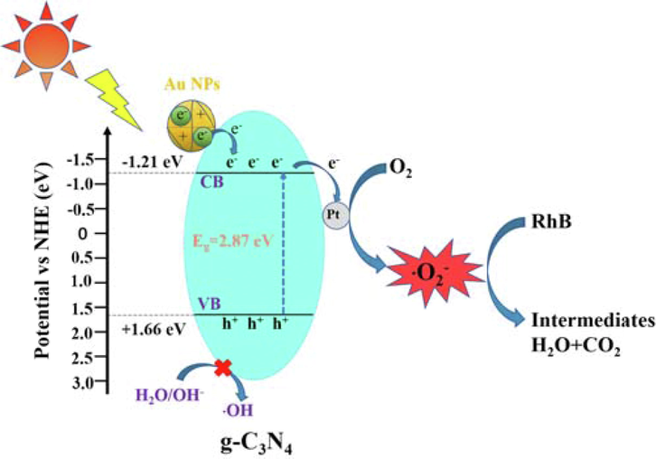 The mechanism of photocatalytic degradation of RhB by C3N4-Au/10Pt photocatalysts under sunlight.