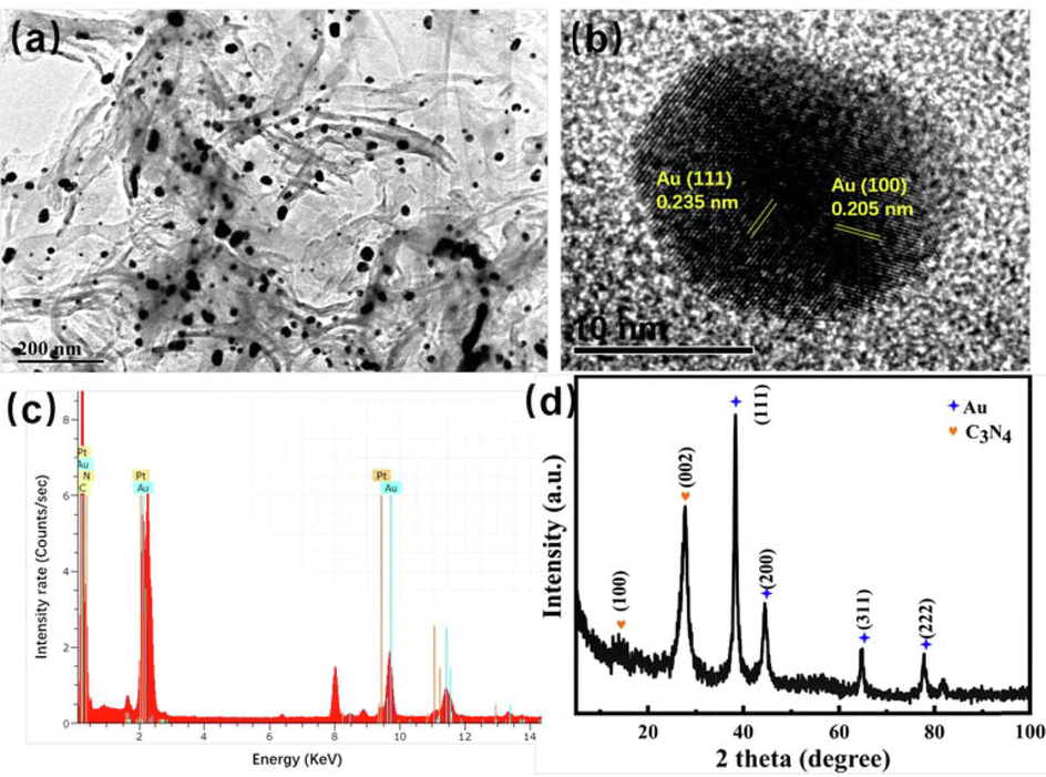 TEM images of C3N4-Au/10Pt (a), HRTEM of Au NPs (b), EDS (c) and XRD pattern of C3N4-Au/10Pt(d).