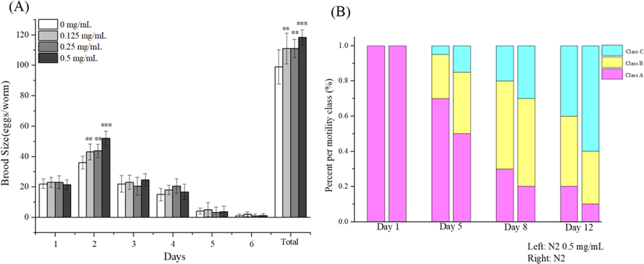 (A) Percent of per motility class of N2 cultured with or without polyphenols on day 1, day 5, day 8, and day 12; (B) Effect of polyphenols on reproduction of N2. **P < 0 01, ***P < 0 001.