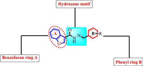 General structure of benzoxazole bearing hydrazone scaffolds (1–25).