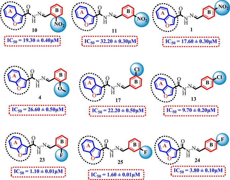SAR study of Halogen substituted analogues 1, 4, 10, 11, 13, 23–25 and 17.