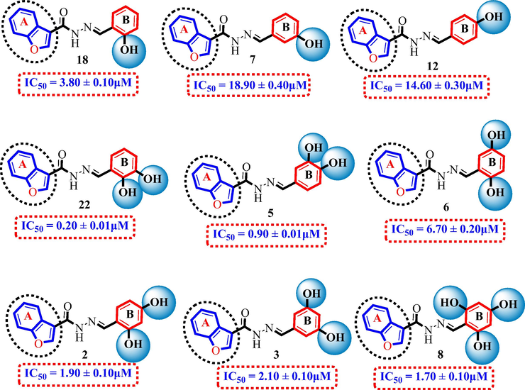 SAR study of Analogue 2, 3, 5–8, 12, 18 and 22.
