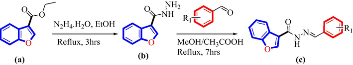 Synthesis of benzofuran based hydrazine derivatives.