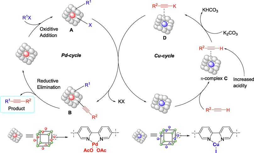 Plausible reaction mechanism.