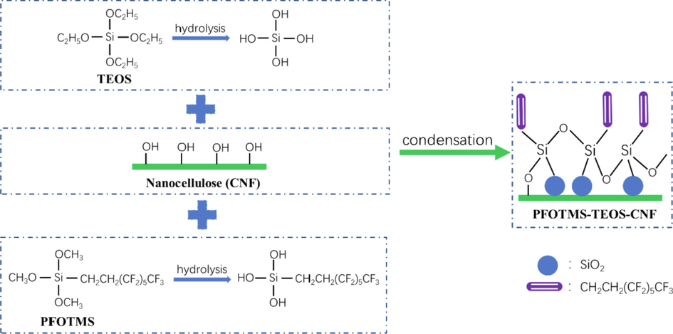 Schematic diagram of PFOTMS-TEOS-CNF membrane fabrication.
