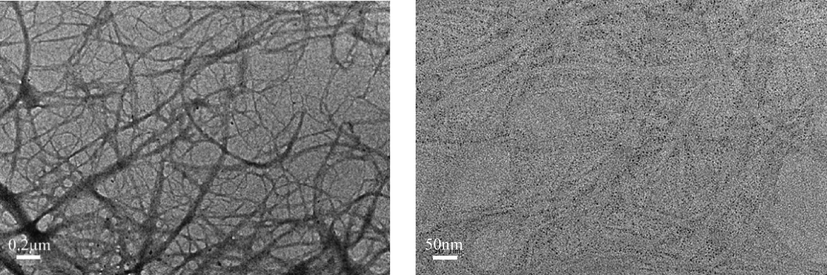 TEM images of PFOTMS-TEOS-CNF.