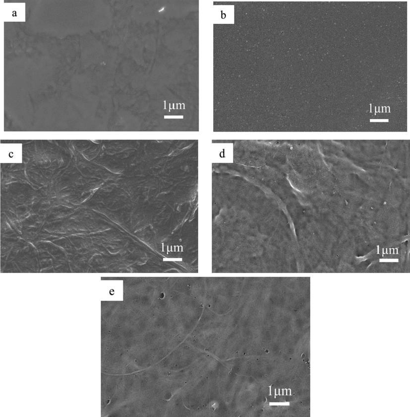 SEM images of (a) PFOTMS-CNF, (b) PFPTMS-CNF, (c) NFHTMS-CNF, (d) TFPTMS-CNF, (e) CNF.