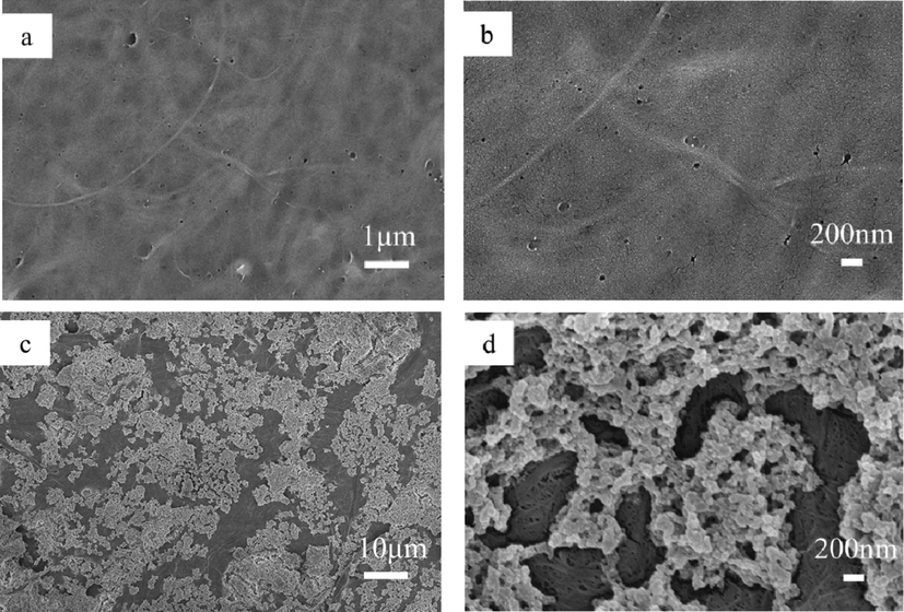 SEM images of (a, b) CNF and (c, d) PFOTMS-TEOS-CNF. (Note: (b) is a zoom of central area of (a). (d) is a zoom of central area of (c). (a) is a duplication of Fig. 2e.).