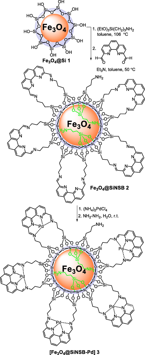 Synthesis of silica coated magnetic [Fe3O4@SiNSB-Pd] 3.