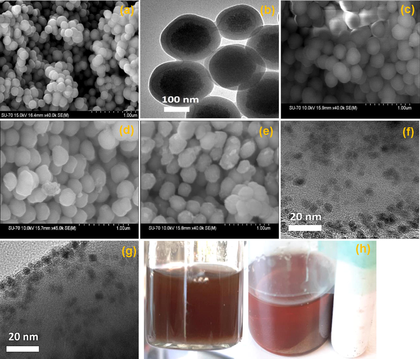 (a & b) SEM images of 1, (c) SEM image of 1 after incorporation of amine functionality, (d) SEM image of 2, (e) SEM image of 3, (f) TEM image of fresh 3, (g) TEM image of 3rd reused of 3, (h) recovery of 3.