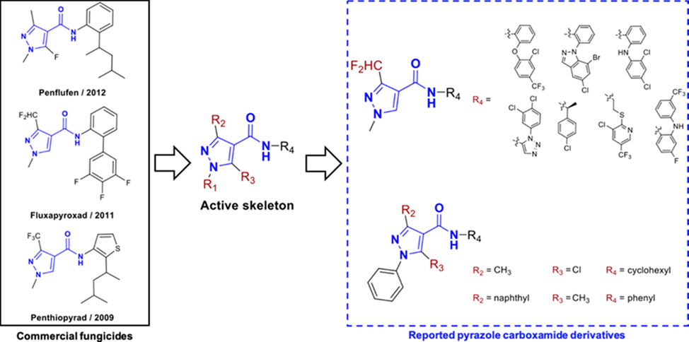 Representative fungicides containing pyrazole carboxamide moieties.