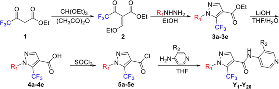 Synthesis routes of the target compounds Y1-Y20.