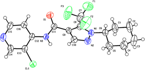 Crystal structure of Y11.