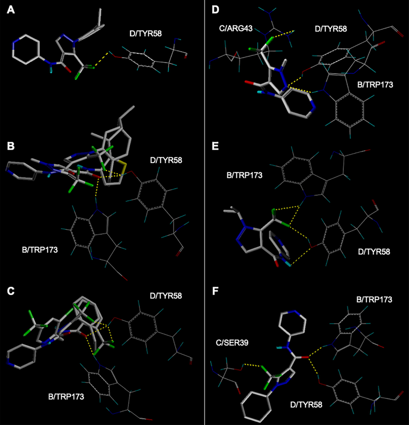 Binding modes between ligands and SDH protein. (A) Y13; (B) Y13 and penthiopyrad; (C) Y13 and fluopyram; (D) Y1; (E) Y5; (F) Y9.
