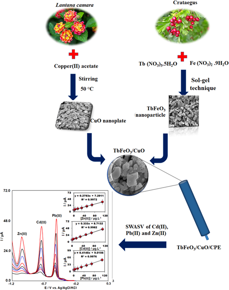 Development of the modified sensor for simultaneous determination of Zn(II), Cd(II) and Pb(II).