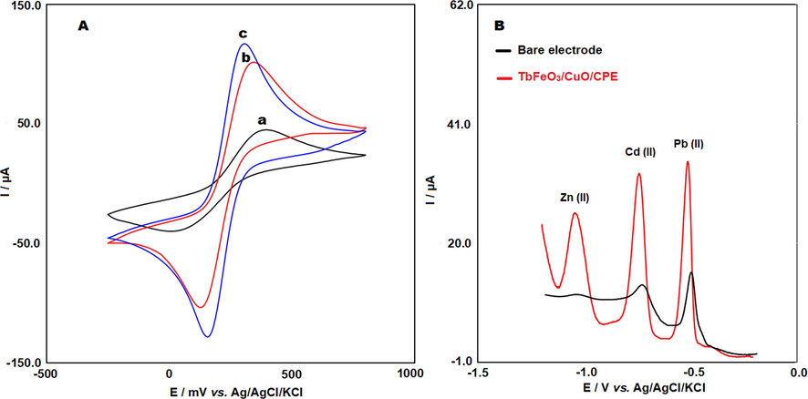 A) Cyclic voltammograms of 5 mM K3[Fe(CN)6] recorded on the bare CPE (a) CuO/CPE (b) and TbFeO3/CuO/CPE (c), B) SWASV voltammograms of 70 μg/L Zn(II), Cd(II) and Pb(II) in the ABS (0.5 M, pH 4.8) on the bare CPE and TbFeO3/CuO/CPE. Deposition potential: −1.2 V; Deposition time: 180 s.