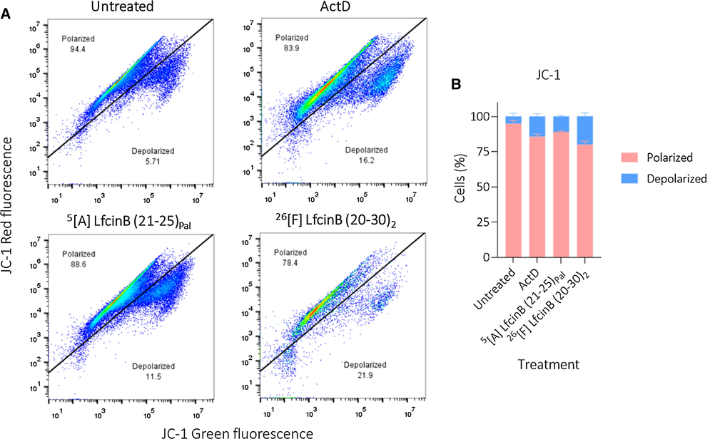 A. Dot-plots of flow cytometry assay in the presence of cationic fluorophore JC-1B. Histogram of percentage of cell events related to population with polarized or depolarized mitochondrial membrane. CaCo-2 cells were treated with modified palindromic and dimeric peptide at their IC50 concentration. Positive control: Actinomycin-D 15 μM. The data represent the mean ± SE (n = 3). 2 way ANOVA and Sidak’s multiple comparisons test were used, p ≤ 0.05. a) Statistically significant differences of the depolarized population with untreated cells. b) Statistically significant differences of the depolarized population with positive control (ActD).