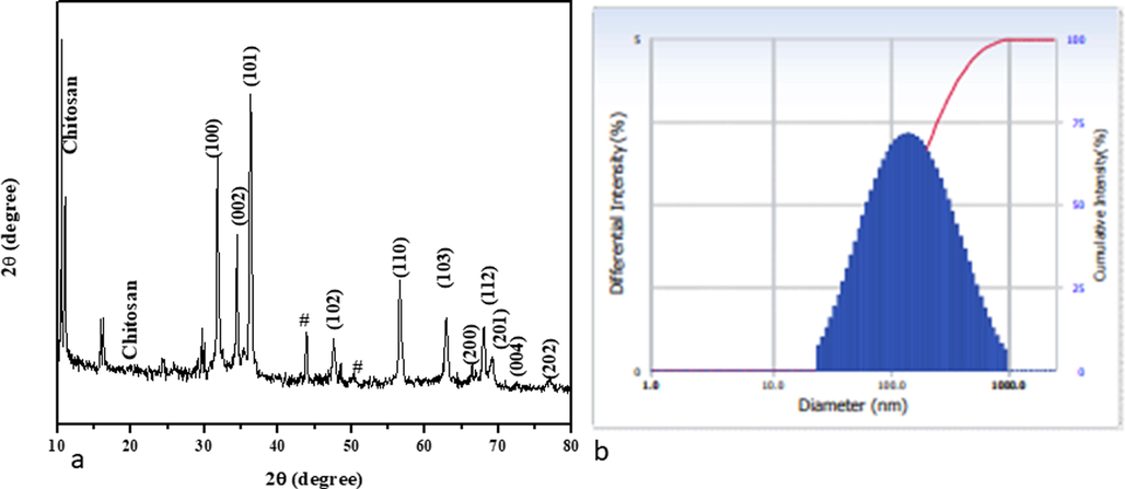 XRD Pattern of ZnO-TiO2-Chitosan-Amygdalin nanocomposites (a). Number-weighted particle size distribution, obtained by DLS (b).