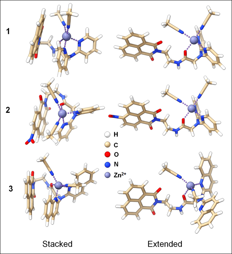 Optimized structures of the three chemosensors complexed with Zn2+ in the extended and stacked conformations. The stacked conformations are predicted as the most stable conformer generated by the CREST code.