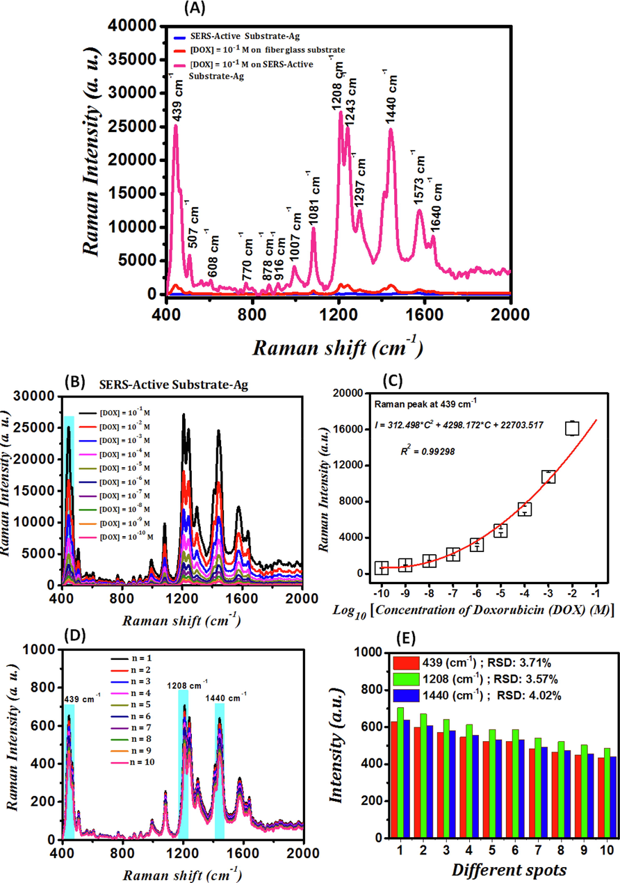 (A)- Raman spectrum of glass fiber substrates (blue curve), the Raman spectrum of 10−1 M DOX deposited on glass fiber substrates (red curve), and the SERS spectrum of 10−1 M DOX deposited on SAS (pink curve); (B)- SERS spectra of DOX detected by SAS at different concentrations; (C)- Calibration curve of intensity variations (I) of the SERS signal related to Ring stretch C-O at the wavenumber of 439 cm−1 in logarithmic changes of DOX concentration (C); (D)- SERS spectra of 10 distinct spots of 10 μL of the 10−10 M DOX deposited on the SAS and the variations diagram for the ten continuous experiments for 10−10 M DOX drug; (E)- Bar charts of the variations in the calculation of RSD for the peaks at 439 cm−1 (red diagram), 1208 cm−1 (green diagram), and 1440 cm−1 (blue diagram).