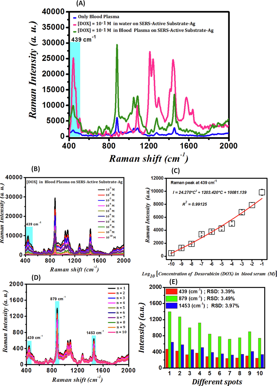 (A)- SERS spectrum of blood plasma deposited on SAS (blue curve), the SERS spectrum of 10−1 M DOX dissolved in DI water and deposited on SAS (red curve), and the SERS spectrum of 10−1 M DOX in blood plasma deposited on SAS (pink curve); (B)- SERS spectrum of DOX in blood plasma detected by SAS at different concentrations; (C)- Calibration curve of intensity variations (I) of the SERS signal related to Ring stretch C-O at the wavenumber of 439 cm−1 in logarithmic changes of DOX concentration (C); (D)- SERS spectra of 10 distinct spots of 10 μL of the 10−10 M DOX in blood plasma deposited on the SAS and the variations diagram for the 10 continuous experiments for 10−10 M DOX drug in blood plasma; (E)- Bar charts of the variations in the calculation of RSD for the peaks at 439 cm−1 (red diagram), 879 cm−1 (green diagram), and 1453 cm−1 (blue diagram).