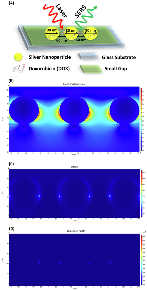 (A)- Schematic of the modeled SERS-active substrate coated with AgNPs; (B)- Electric field distribution; (C)- Intensity in the XZ plane; (D)- Enhancement factor calculated as E4 in the XZ plane.