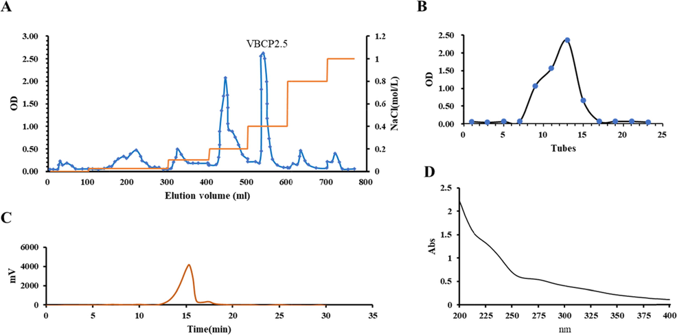 Isolation and purification of VBCP2.5 from vinegar-baked Radix Bupleuri and its characterization. A. Elution curve on DEAE-FF; B. Elution curve on G200; C. HPGPC chromatogram of VBCP2.5; D. Ultraviolet scanning spectrum of VBCP2.5 (400 ∼ 200 nm).