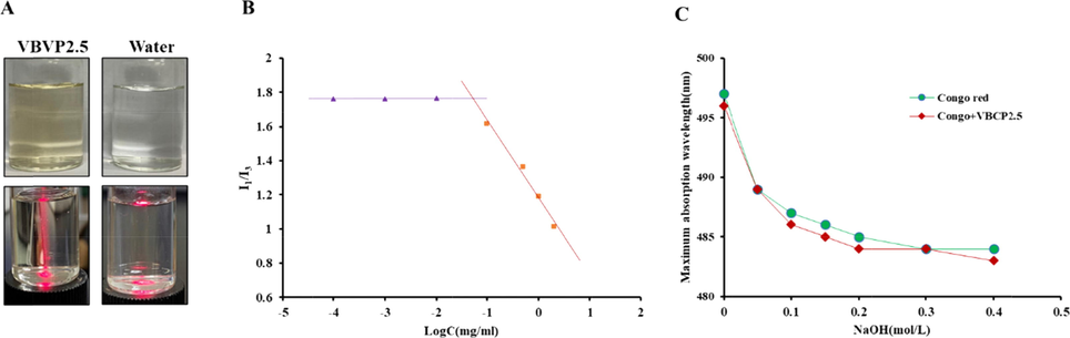 VBCP2.5 exhibited micellar properties but not a triple helix configuration in solution. A. Tyndall effect in water solution of VBCP2.5, B. Critical micelle concentration curve of VBCP2.5; C. Maximum absorption wavelength of congo red solution with and without VBCP2.5 at different concentrations of NaOH.