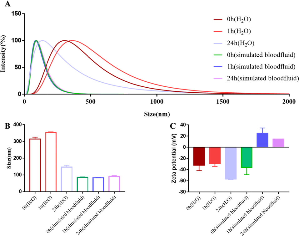 Size and surface chemistry characterization of VBCP2.5. A. Intensity-weighted size distribution of VBCP2.5 in H2O or simulated bloodfluid (1 and 24 h of incubation); B. Size mean values; C. Zeta potential mean values.