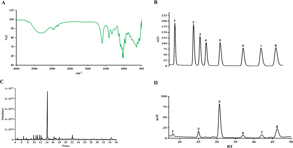 Structural characterization of VBCP2.5. A. Infrared spectrogram of VBCP2.5; B and D. HPLC profile of monosaccharide composition (1, Man; 2, Rib; 3, Rha; 4, GlcA; 5, GalA; 6, Glc; 7, Gal; 8, Ara). C. GC–MS spectrum of methylated alditol acetates.