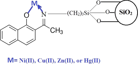 The adsorption mechanism.