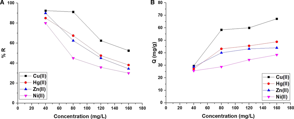 The effect of concentration of the studied metal ion solution on % R (A) and Q B).