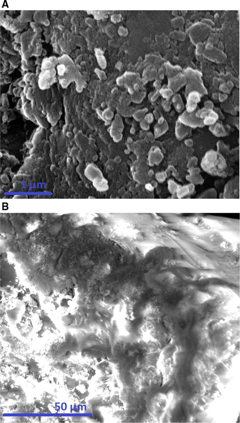 The FE-SEM images of the silica (A) and their Schiff base composite (B).