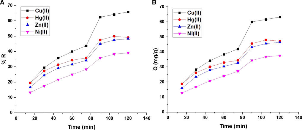 The effect of contact time of the studied metal ion solution on % R (A) and Q B).