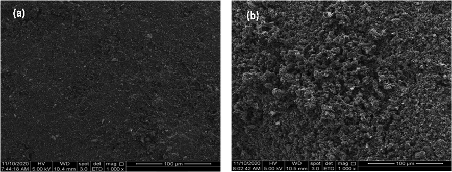 SEM image of (a) coconut shell and (b) CSAC (1000x).