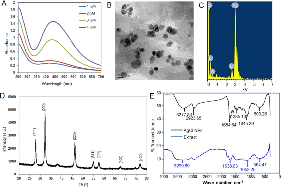 Synthesis and characterization of A. racemosus-AgCl-NPs. (A) Different spectra indicate the formation of nanoparticles at different concentrations of AgNO3. (B) TEM micrograph of the synthesized A. racemosus-AgCl-NPs. Morphology showing the A. racemosus-AgCl-NPs with different sizes. (C) Detection of the elements in A. racemosus-AgCl-NPs by EDX, (D) X-Ray Diffraction pattern (E) FTIR spectrum.