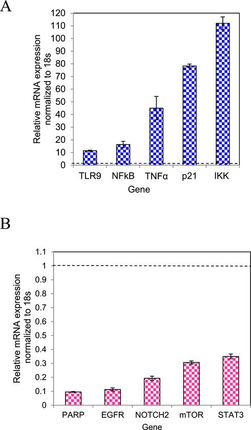 Assessment of gene expression levels. (A) expression of TLR9, NFκB, TNFα, p21, IKK, (B) expression of PARP, EGFR, NOTCH2, mTOR and STAT3 genes after treatment of GSCs with A. racemosus-AgCl-NPs. A dashed line (black) indicates 1.0 expression level.