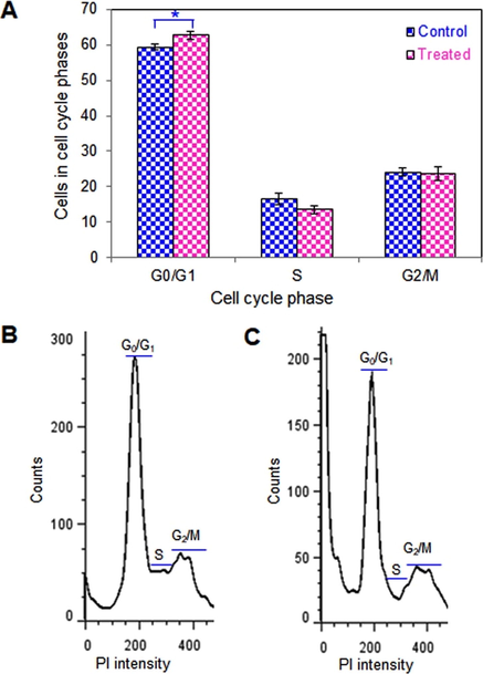 Effects of the AgCl-NPs on the cell cycle phases of GSCs. (A) The percentages of each cell cycle were analyzed based on mean values obtained from three independent experiments. (B) is representing the histogram of control GSCs and (C) after treatment with A. racemosus-AgCl-NPs. (n = 3, mean ± SD). *p < 0.05.