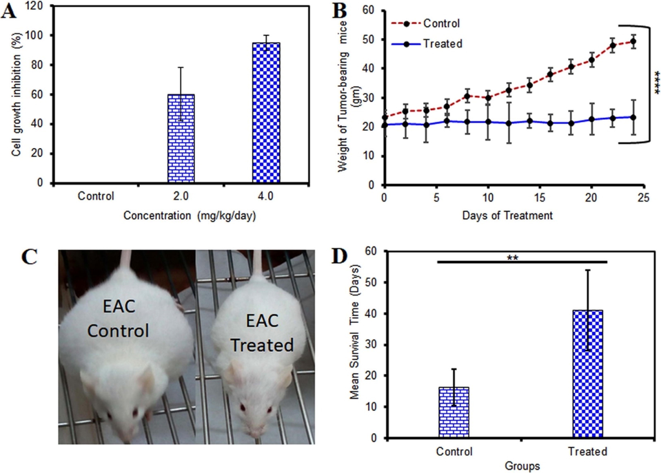 In vivo anticancer activity of A. racemosus-AgCl-NPs against EAC cells. A) Percentages of EAC cells growth inhibition at the doses of 2.0 and 4.0 mg/kg/day following 5 consecutive days of treatment. B) Tumour weight of EAC-bearing mice receiving A. racemosus-AgCl-NPs and control mice. C) A. racemosus-AgCl-NPs treated and untreated EAC bearing mice on the 22nd day of EAC inoculation. D) Percentage of the increased life span of EAC-bearing mice receiving treatment and non-treated animals.. (n = 6, mean ± SD). **p < 0.01, ****p < 0.0001.