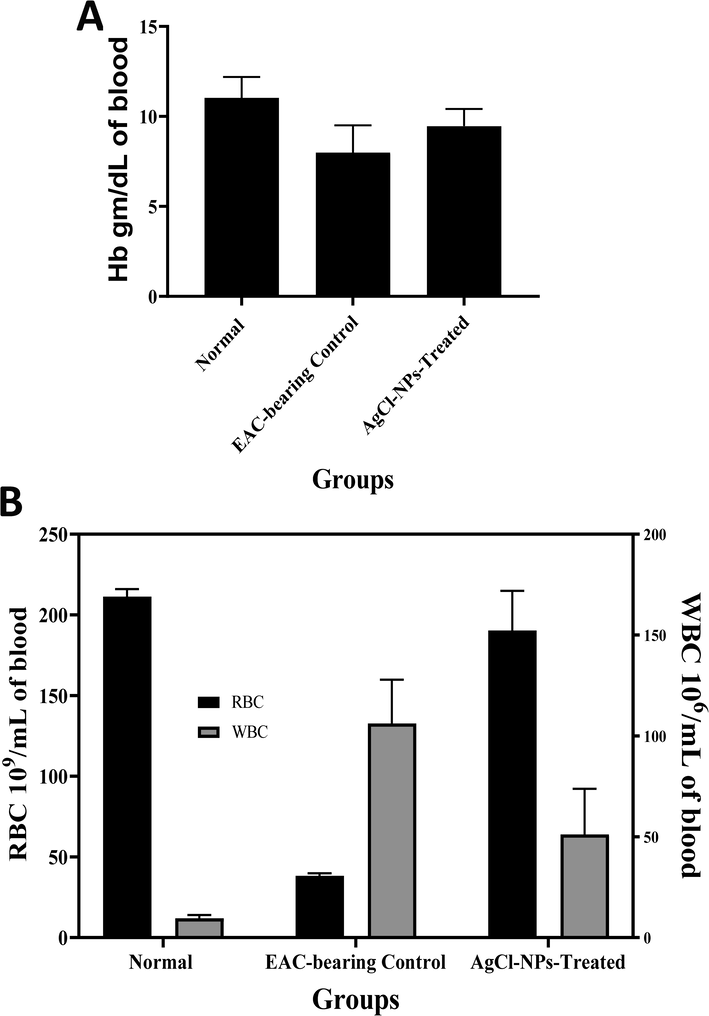 Protective effects of A. racemosus-AgCl-NPs in EAC-bearing mice. A) Restoration of hemoglobin levels in EAC-bearing mice treated with A. racemosus-AgCl-NPs. B) Effects of A. racemosus-AgCl-NPs in EAC-bearing mice on RBC and WBC counts. A. racemosus-AgCl-NPs treatment reverses the blood cell counts to normal levels.