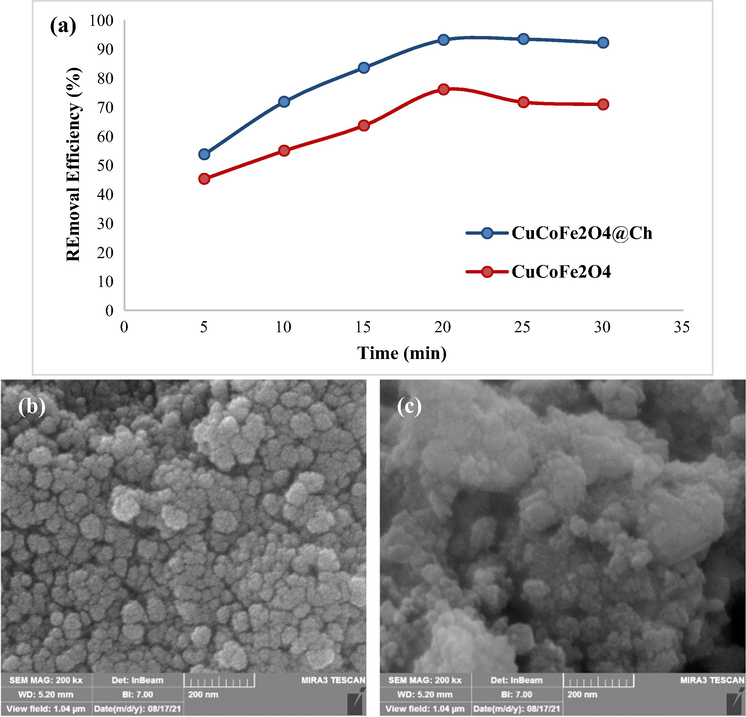 The performance comparison of CuCoFe2O4@Ch and CuCoFe2O4 under optimal conditions for adsorption of TC (TC concentration = 5 mg/L, pH = 3.5, adsorbent dose = 0.4 g/L, and temperature = 25 °C) (a), FESEM images of CuCoFe2O4@Ch (b) and CuCoFe2O4 (c).