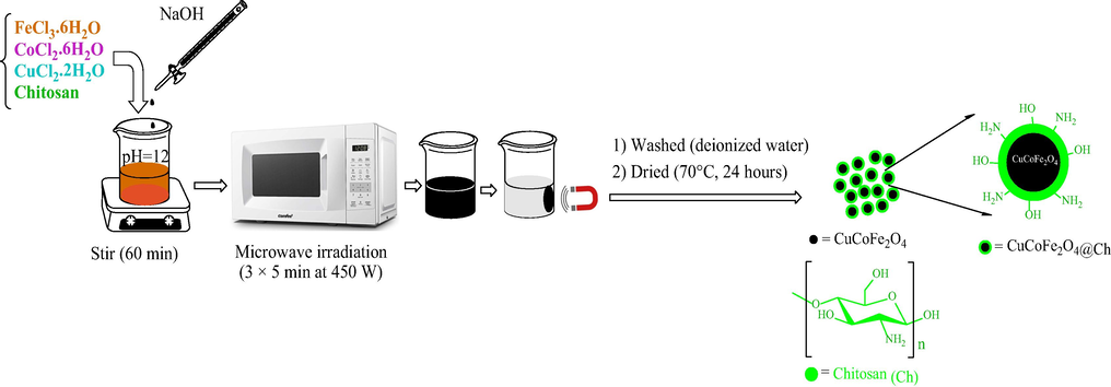 Schematic of CuCoFe2O4@Ch synthesis.