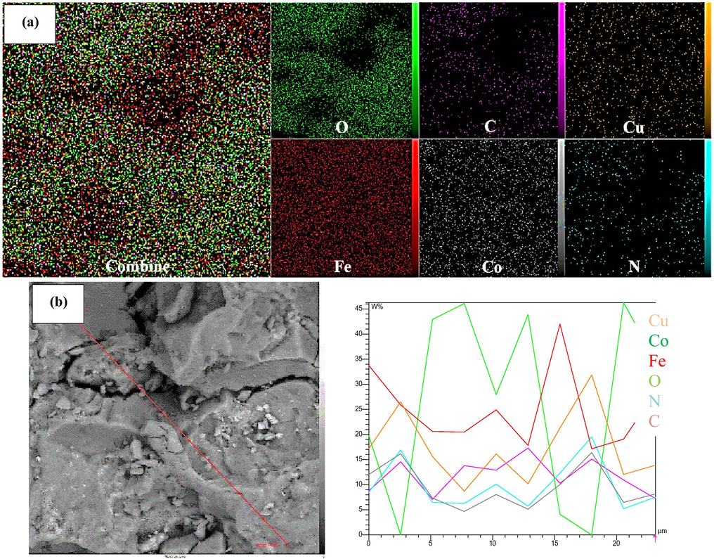 Mapping (a), and Line scan (b) of CuCoFe2O4@Ch magnetic nanocomposite.