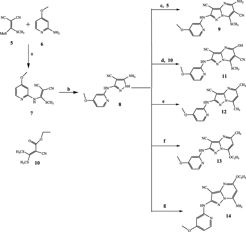 Reagents and conditions: a) ethanol, (C2H5)3N, reflux 3 days at 180 °C, b) NH2NH2·H2O, 8 h, c) acetone, (C2H5)3N, reflux 7 h, d) ethanol, (C2H5)3N, reflux 9 h, e) acetyl acetone, ethanol, acetic acid, reflux 5 h, f) ethyl acetoacetate, ethanol, acetic acid, reflux 7 h, g) ethyl cyanoacetate, DMF, acetic acid, reflux 6 h.