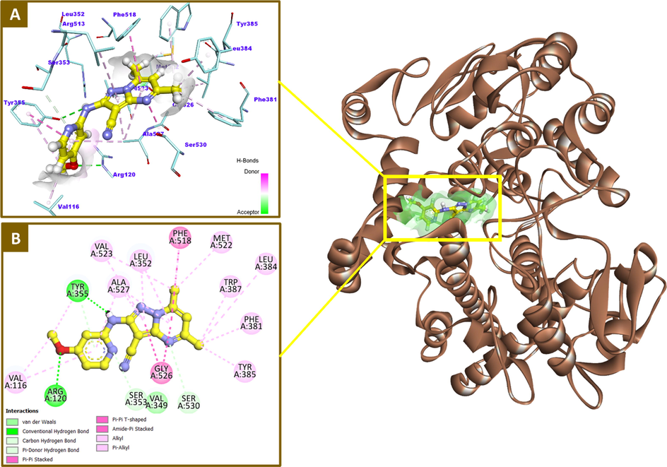 2D and 3D binding modalities of compound 12 (Ball & stick with carbons colored in yellow) within the catalytic active site of COX-2 enzyme (PDB code: 3NT1); A) 3D binding pattern of 12 into the active pocket of COX-2; B) 2D binding pattern of 12 into the active pocket of COX-2; H-bonds were represented as dashed green lines. π-Stacking and hydrophobic interactions were showed in dashed dark pink and light violet lines, respectively. H-bond surfaces around ligands were created. The 3D protein is displayed as secondary structure in ribbon solid style colored in tan.