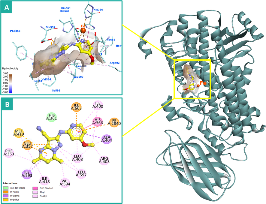 2D and 3D binding modalities of compound 12 (Ball & stick with carbons colored in yellow) within the catalytic active site of 15-LOX enzyme (PDB code: 1LOX); A) 3D binding pattern of 12 into the active pocket of 15-LOX; B) 2D binding pattern of 12 into the active pocket of 15-LOX. π-Stacking, π-charge and hydrophobic interactions were showed in dashed dark pink, orange, and light violet lines, respectively. Hydrophobic surface around ligand was created. The 3D protein is displayed as secondary structure in ribbon solid style colored in dark cyan. The iron (Fe) atom was displayed as ball colored in dark orange. Hydrogens were deleted for clarity purpose.