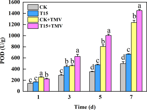 Effects of compound T15 on POD content in tobacco.