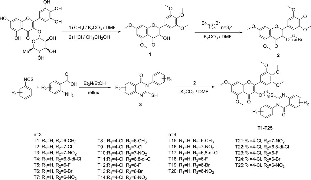 Synthetic route of target compounds T1 − T25.