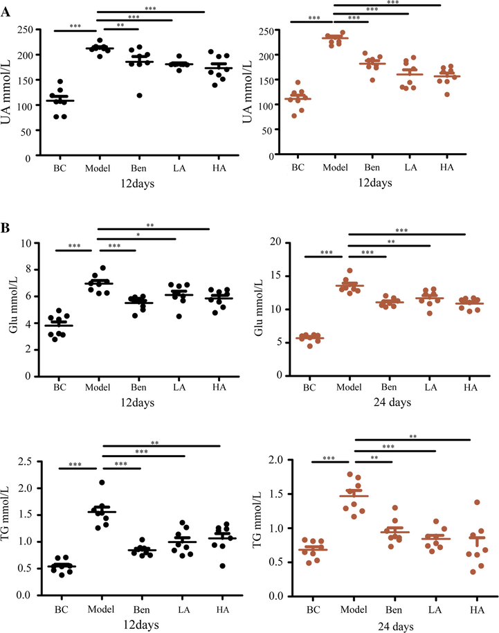 AMUP has obvious effect in the treatment of HUA. A, AMUP has the same effect in reducing uric acid levels as benzbromarone in rats with HUA 12 and 24 days after administration. B, AMUP treatment decreased the Glu and TG levels of the rats with HUA on days 12 and 24. P values were determined by paired t-test (*P < 0.05;**P < 0.01;***P < 0.001).