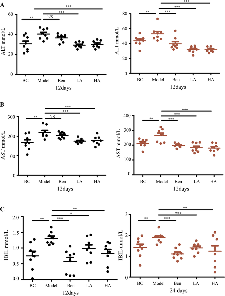 AMUP functions in protecting the liver in rats with HUA. A-C AMUP decreased ALT, AST, and IBIL levels in rats with HUA after 12 and 24 days of treatment. P values were determined by paired t-test (*P < 0.05; **P < 0.01; ***P < 0.001).